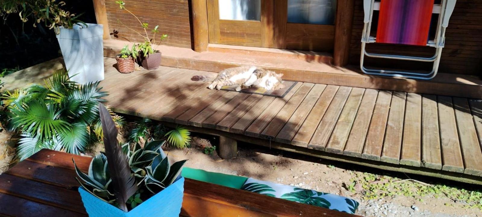 Chales Do Pedro Hospedagem E Restaurante Vila Praia de Araçatiba Exterior foto